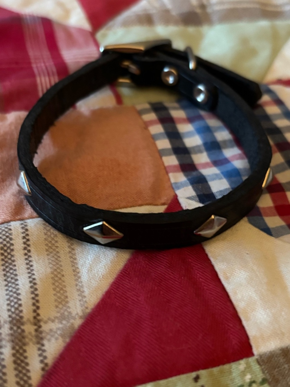 Petco NWOT Black Leather Diamond Studded Dog Collar